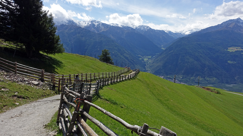 2017-09-15_131528 trentino-suedtirol-2017.jpg - Wanderung von St. Martin zum Dolomitenblick